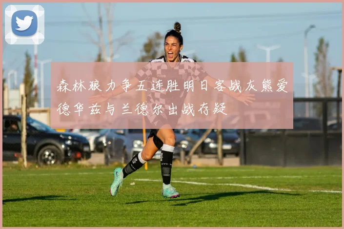 森林狼力争五连胜明日客战灰熊爱德华兹与兰德尔出战存疑