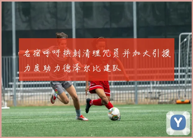 名宿呼吁热刺清理冗员并加大引援力度助力德泽尔比建队